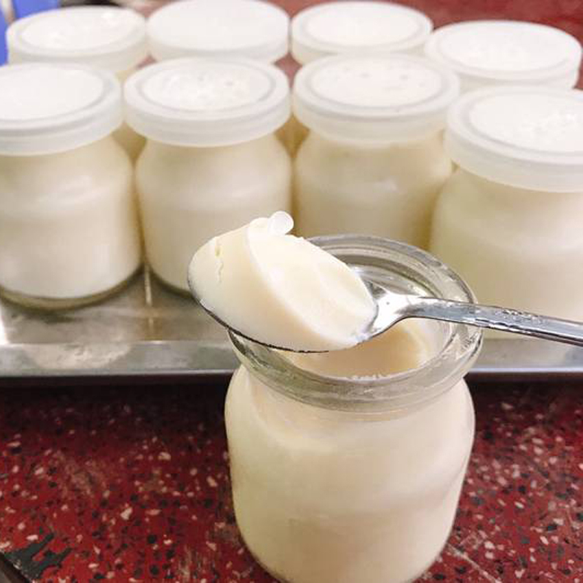 Sữa chua có lợi cho sức khỏe