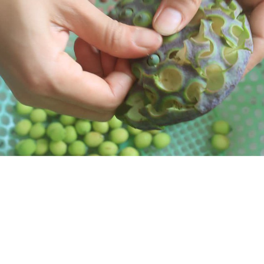 3 bước để có ly sữa bắp thơm ngon