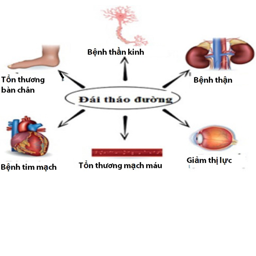 Máy đo đường huyết giá chỉ 590 nghìn