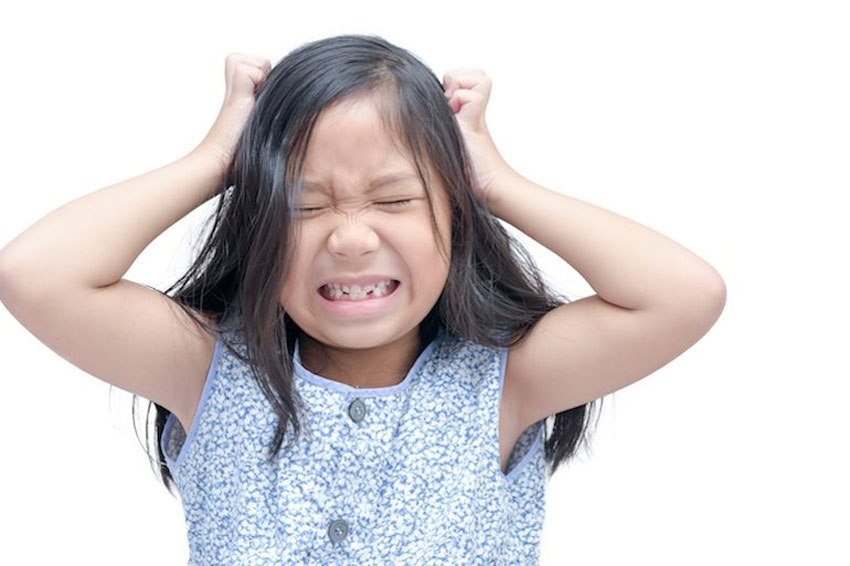 10 cách trị chấy rận hiệu quả tại nhà