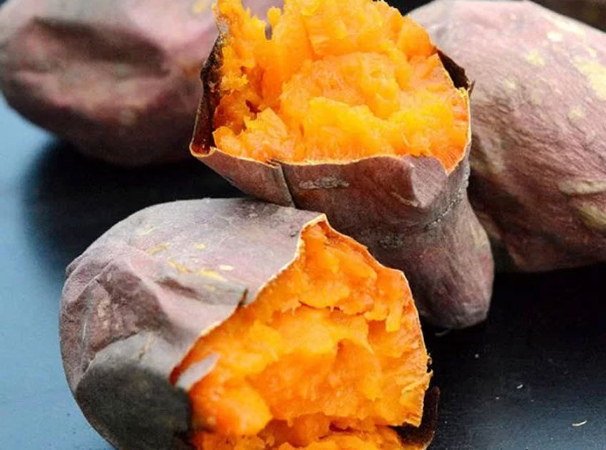 Lò nướng điện chế biến được món gì