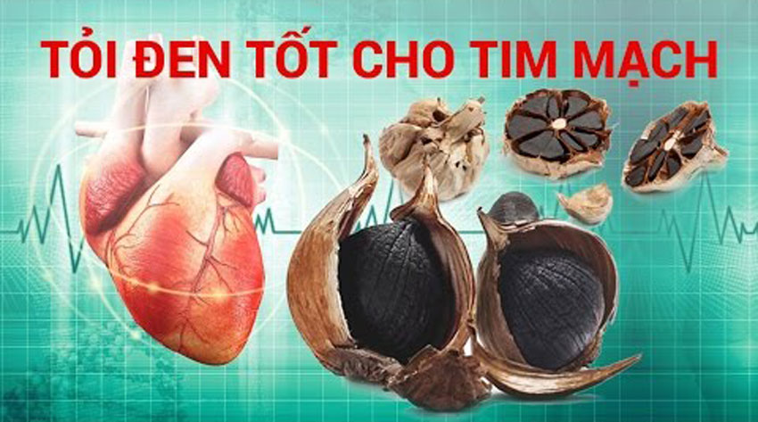 Tỏi đen có tác dụng gì với sức khỏe