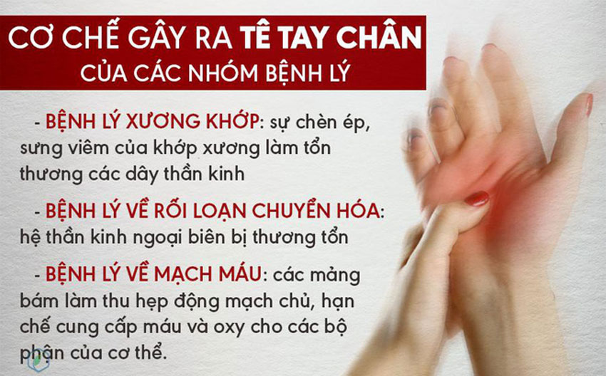 Tê bì tay chân là dấu hiệu của bệnh gì