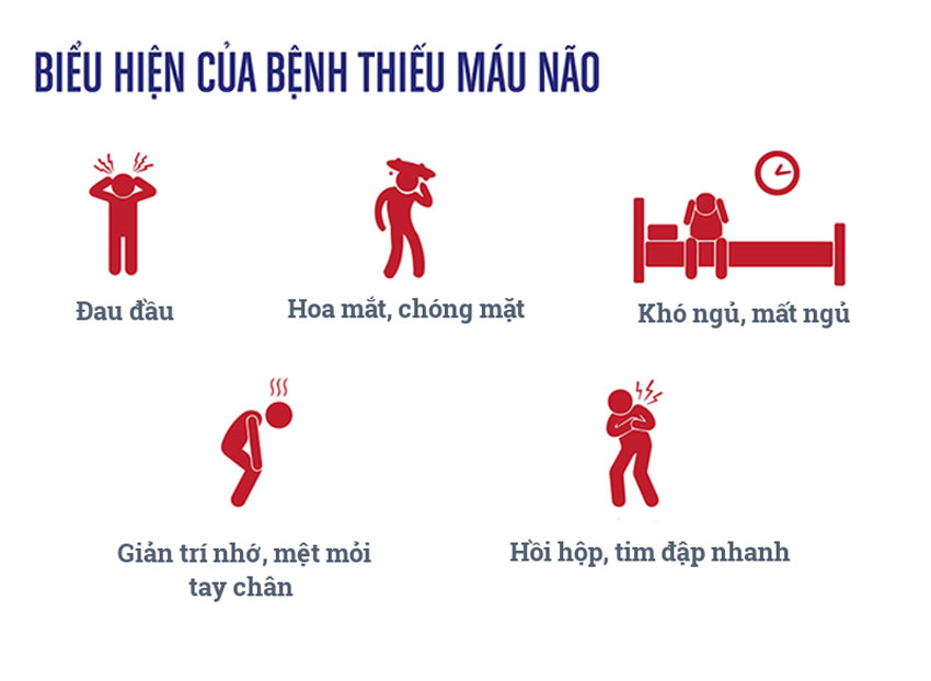Bị thiếu máu não có nguy hiểm không