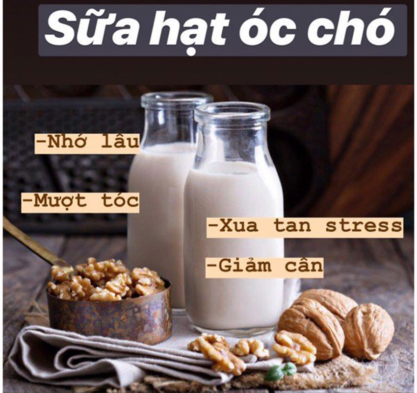 7công thức làm sữa hạt bằng máy làm sữa hạt