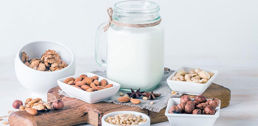 Thông tin chi tiết máy xay nấu đa năng Magic A-94