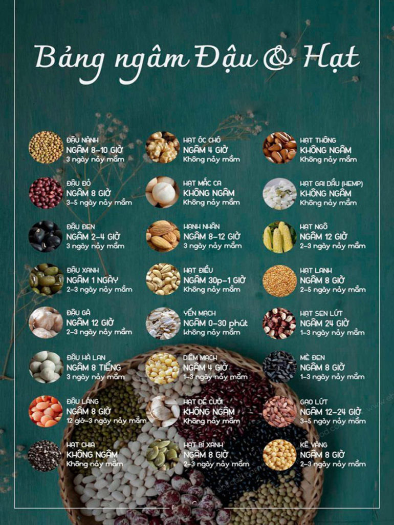 Máy làm sữa hạt Midea MJ-BL100GH có tốt không