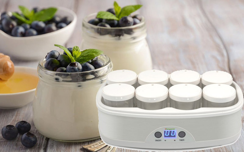 Máy làm sữa chua Kangaroo KG81 dễ sử dụng