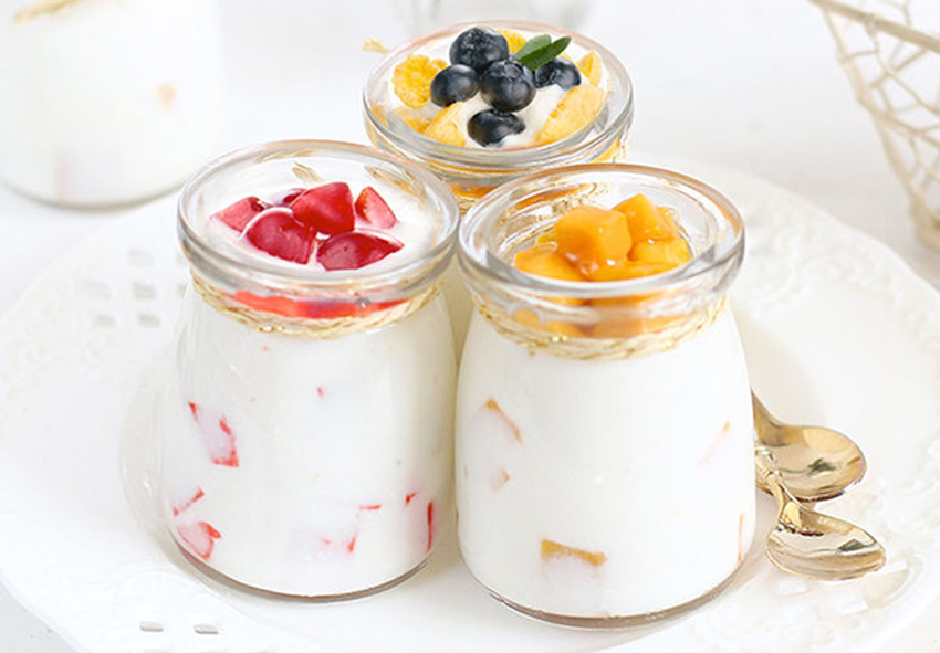 Máy làm sữa chua Kangaroo KG81 dễ sử dụng