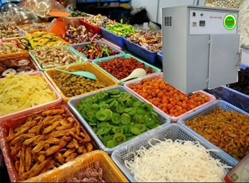 Top 4 máy sấy thực phẩm đáng mua nhất
