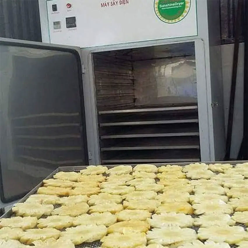 Máy sấy lạnh Ánh Dương AD1 sấy số lượng lớn thực phẩm