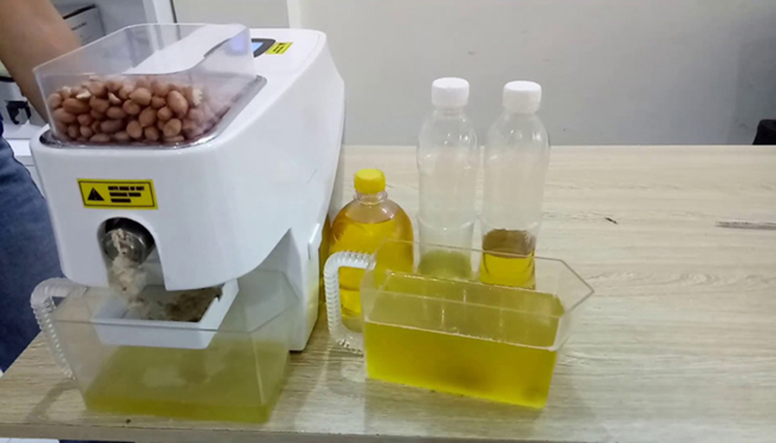 Máy ép dầu thực vật ép được loại hạt nào?