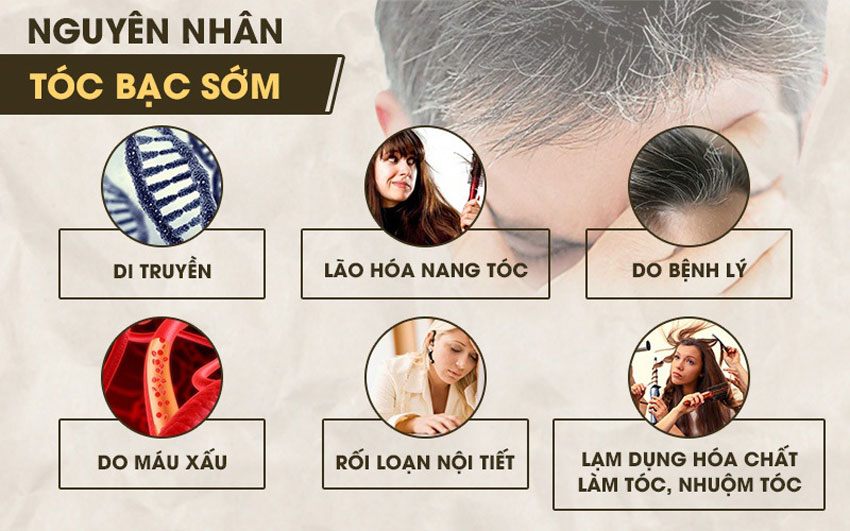 5 cách trị tóc bạc sớm bằng phương pháp dân gian