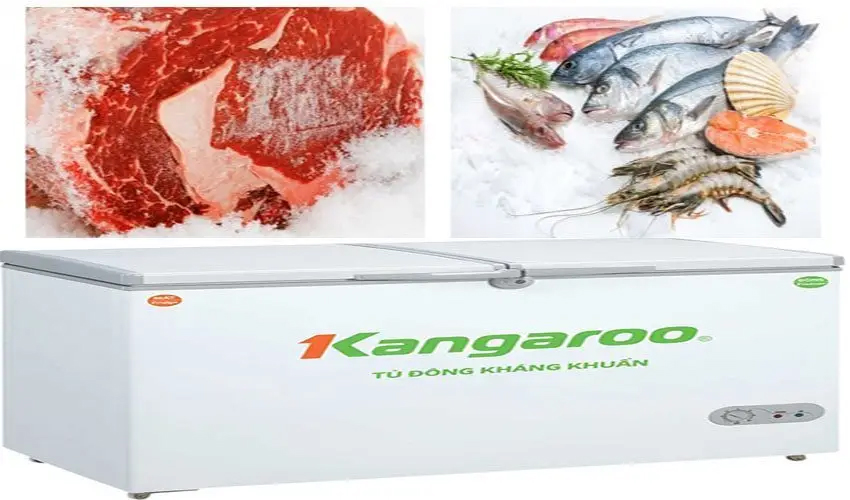 Tủ đông kháng khuẩn Kangaroo KG388C1 sạch khuẩn, hạn chế mùi hôi