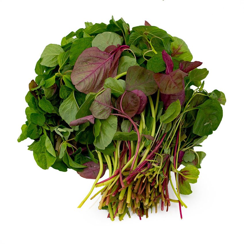 6 cách chữa sâu răng tại nhà hiệu quả