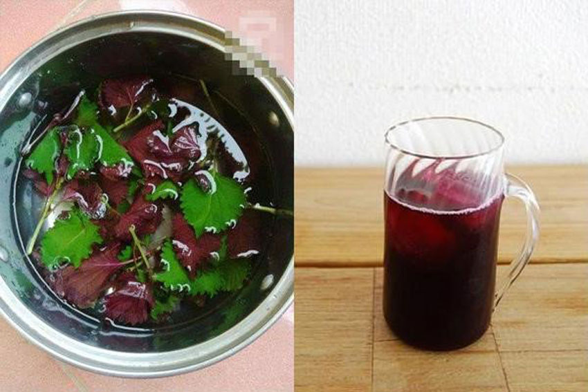 7 tác dụng của nước lá tía tô đối với sức khỏe