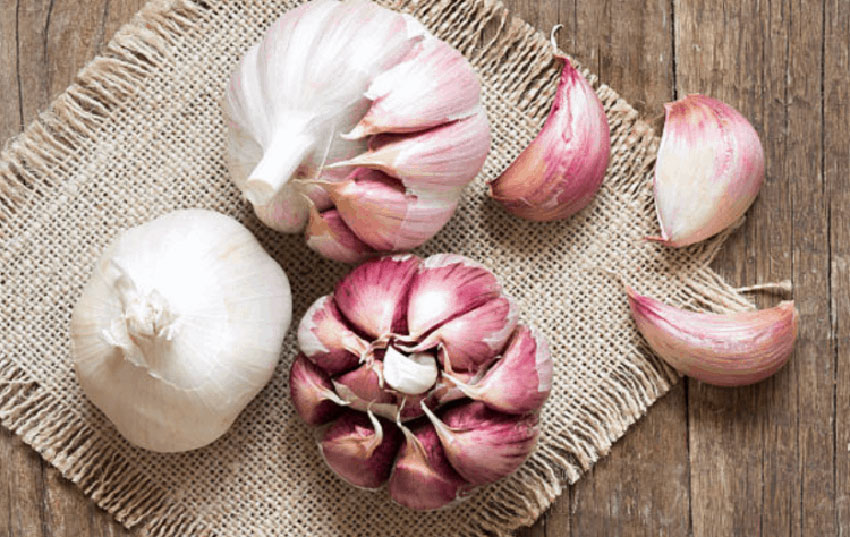 6 Tác dụng của tỏi sống đối với sức khỏe