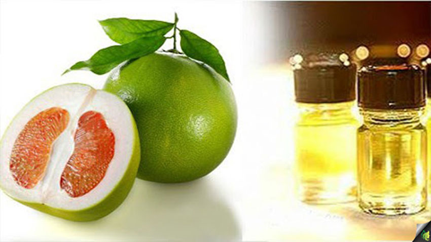 7 công dụng tuyệt vời của tinh dầu bưởi. Cách làm tại nhà