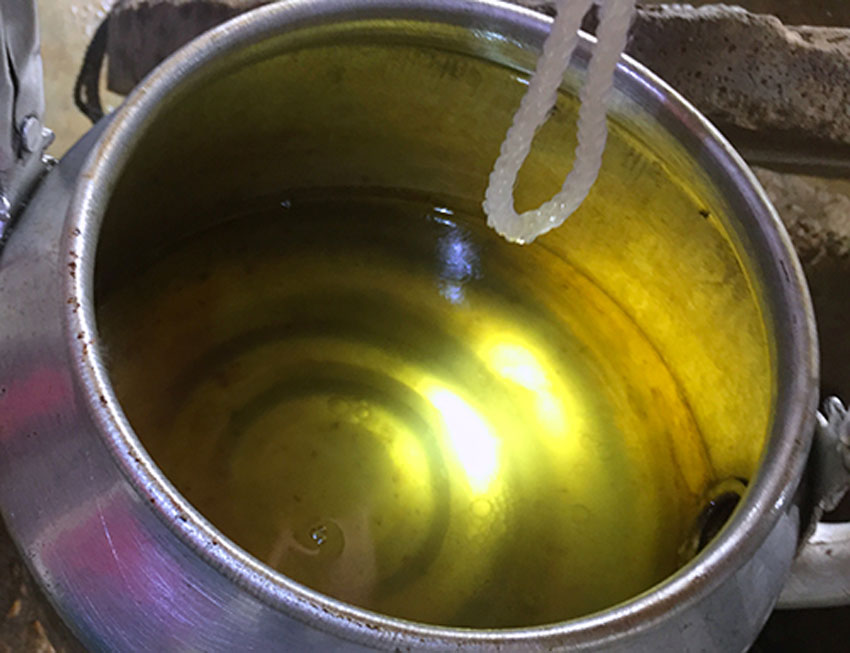 10 cách đuổi kiến không cần dùng hóa chất