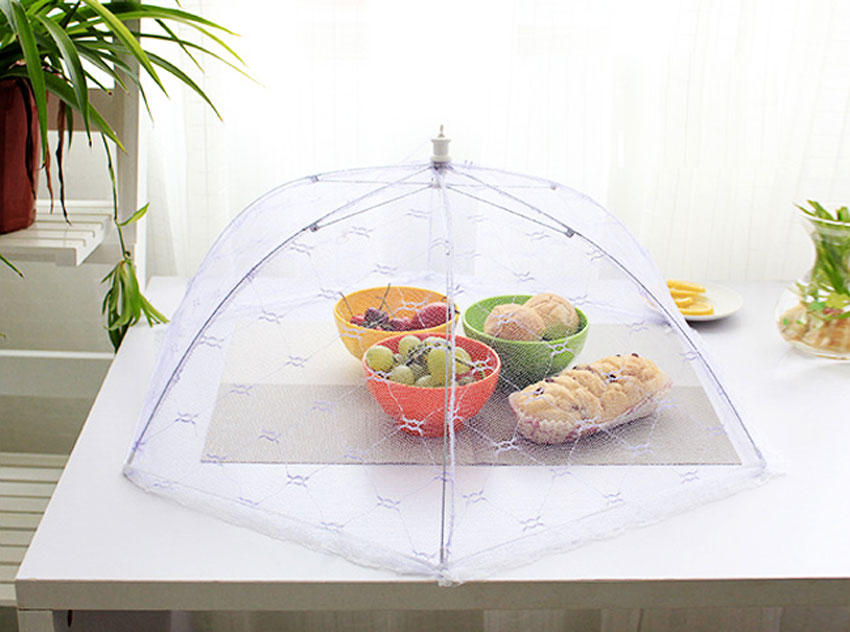 8 cách đuổi ruồi ra khỏi nhà an toàn, hiệu quả