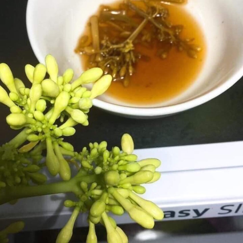 5 công dụng của hoa đủ đủ đực ngâm mật ong