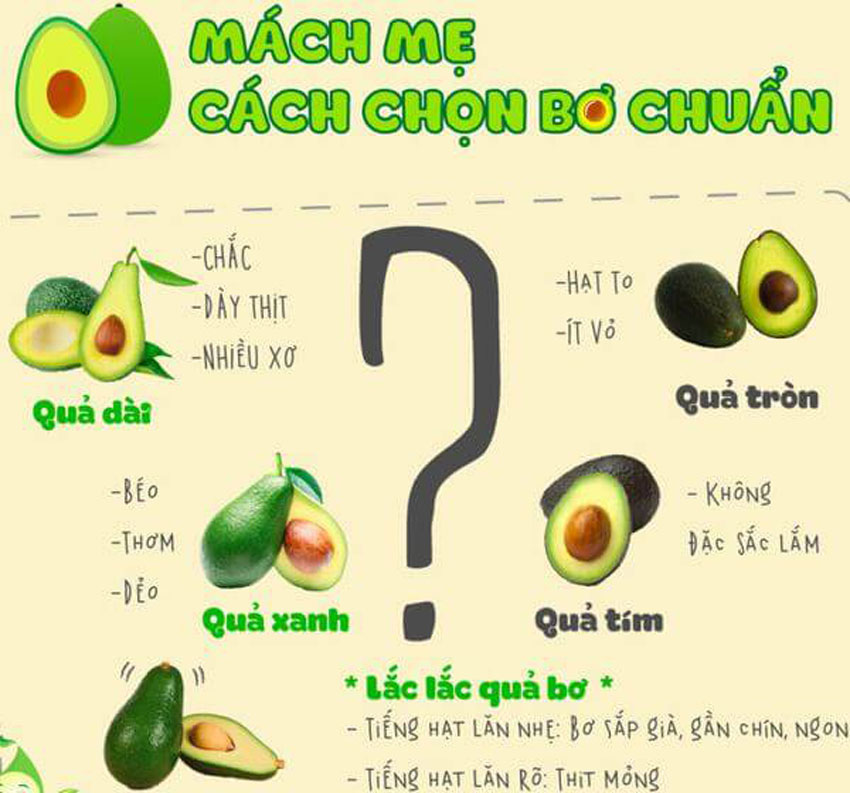 5 Cách làm sinh tố bơ thơm ngon 