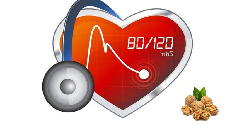 5 công thức làm sữa óc chó bổ dưỡng cho cả nhà