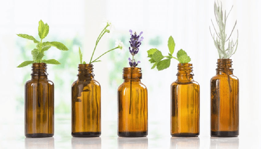 9 mẹo đuổi gián hiệu quả bằng nguyên liệu sẵn có