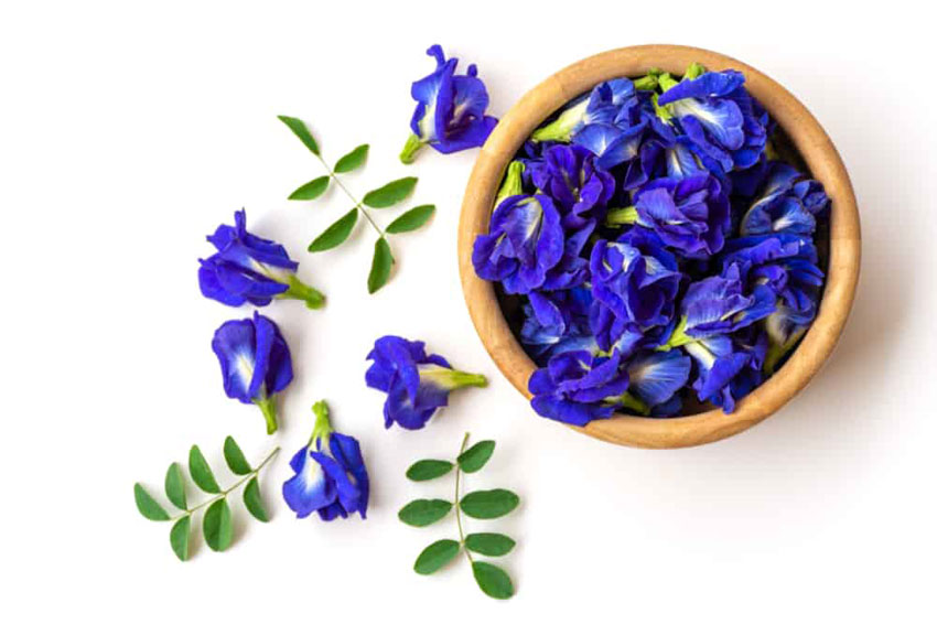 4 món ăn vặt từ hoa đậu biếc cực ngon