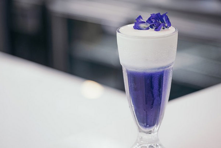 6 cách pha trà hoa đậu biếc đẹp mắt