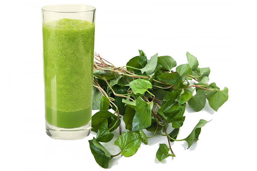 3 cách trị ho cho bé bằng rau diếp cá cực hiệu quả