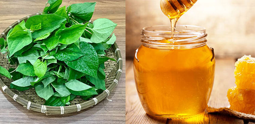 3 cách trị ho cho bé bằng rau diếp cá cực hiệu quả