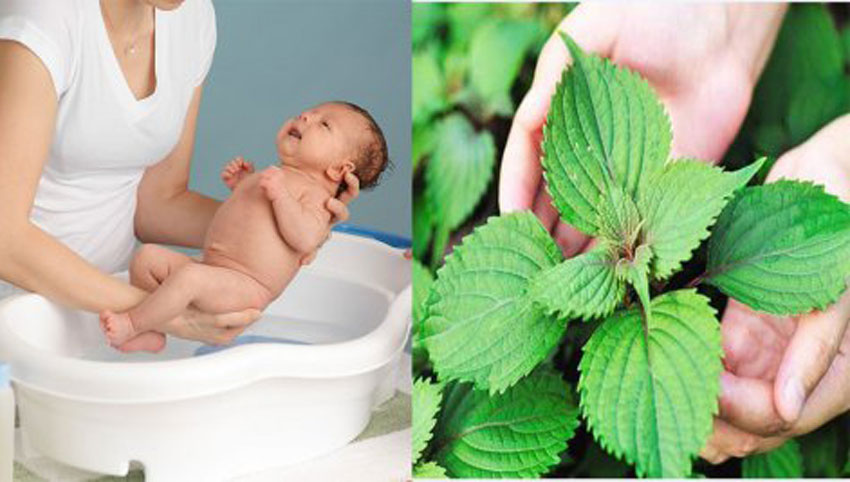 8 cách trị rôm sảy cho bé vào mùa hè cực hay