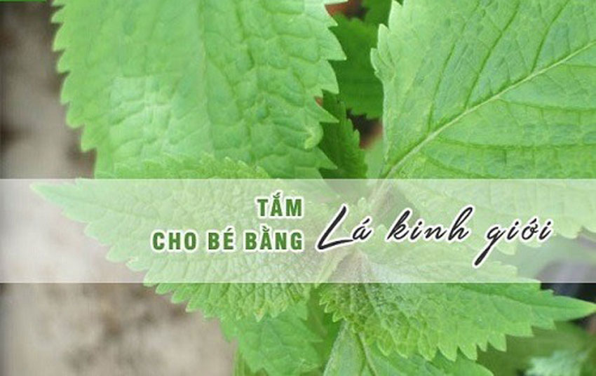 8 cách trị rôm sảy cho bé vào mùa hè cực hay