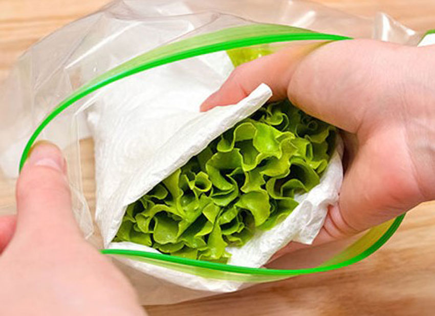 4 cách bảo quản rau xà lách tươi lâu