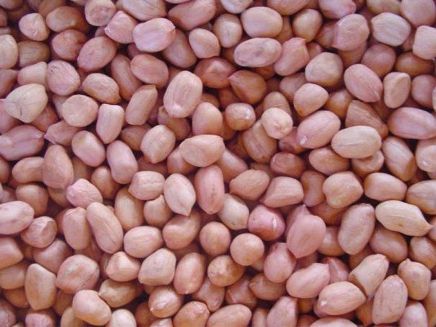 5 cách làm đậu phộng rang cực giòn, ngon dành ăn mùa dịch