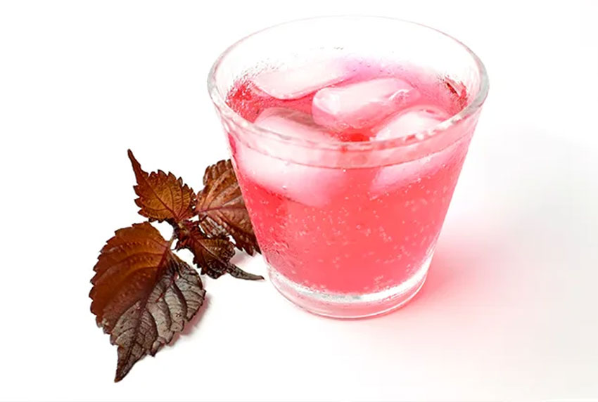 5 cách làm đẹp da bằng lá tía tô cực hay và hiệu quả