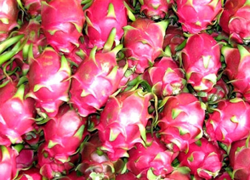 6 cách làm sinh tố thanh long đẹp da