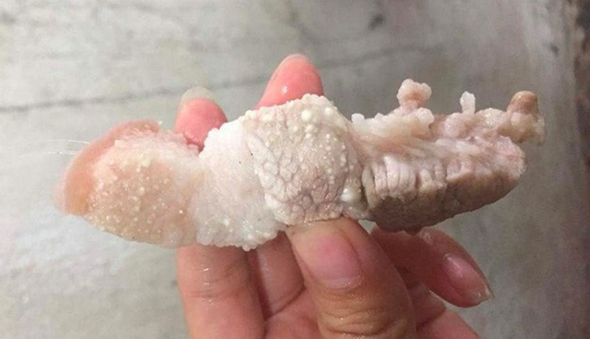 4 dấu hiệu nhận biết thịt lợn sạch và thịt lợn bẩn