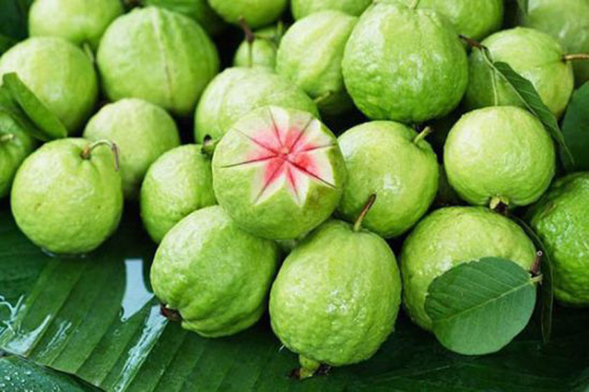 10 tác dụng tuyệt vời của quả ổi đối với sức khỏe và sắc đẹp