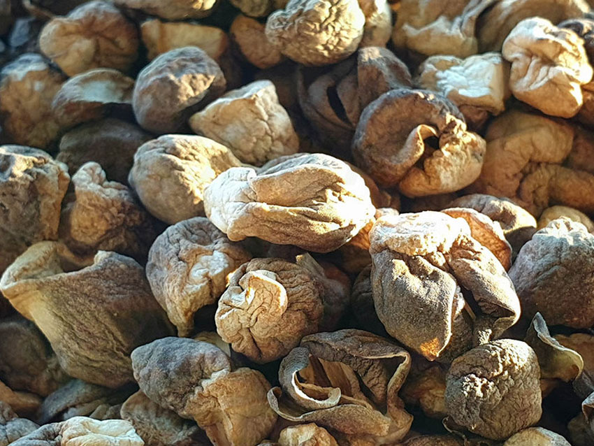 4 cách bảo quản nấm rơm để được lâu