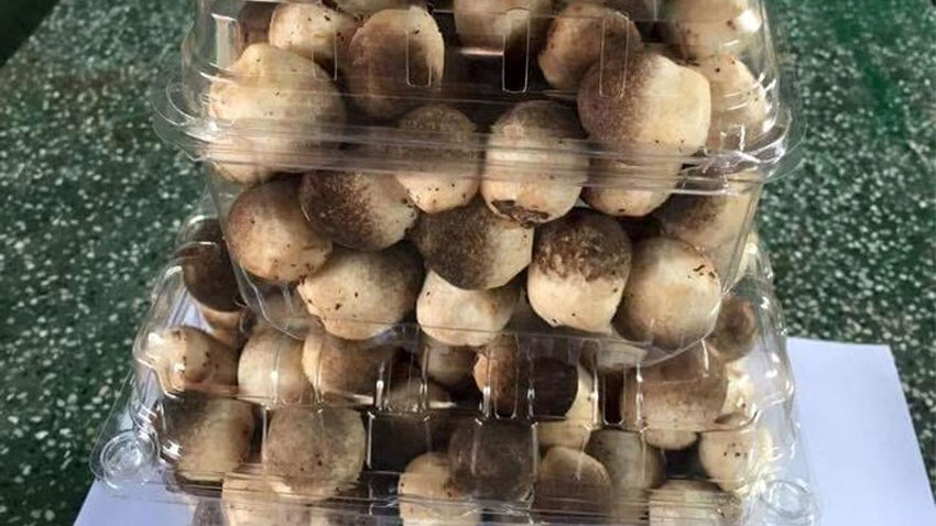 4 cách bảo quản nấm rơm để được lâu