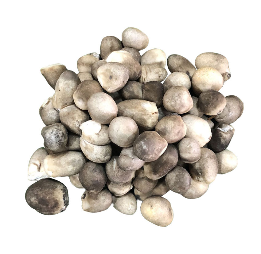 4 cách bảo quản nấm rơm để được lâu