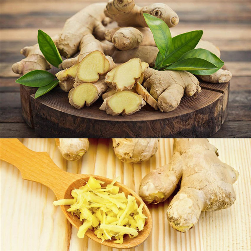 8 cách chống say xe cực hiệu quả