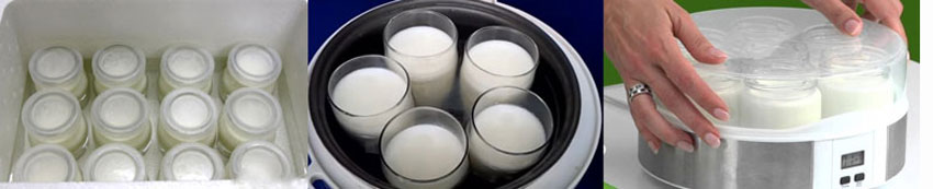 4 cách làm sữa chua tại nhà cực ngon