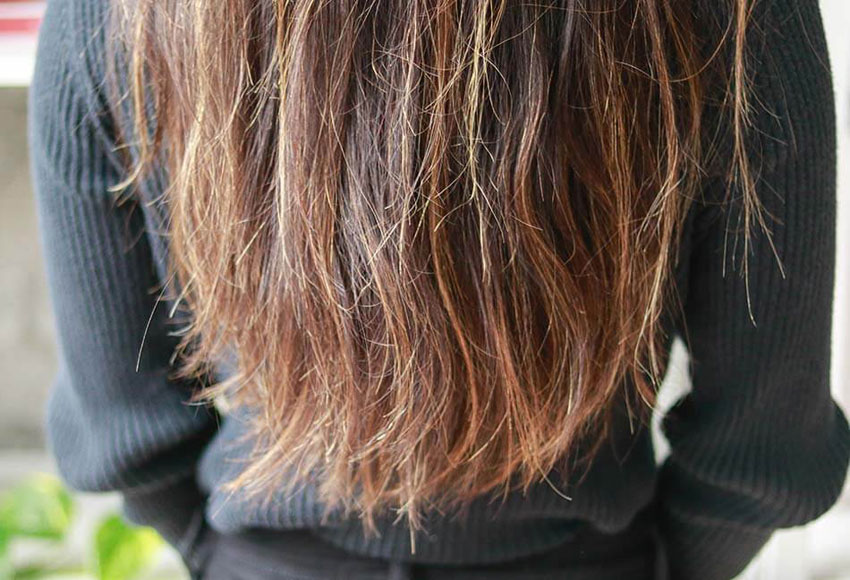 5 Cách chăm sóc tóc bị chẻ ngọn tại nhà