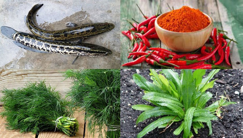 3 món cá lóc nướng cực ngon tại nhà