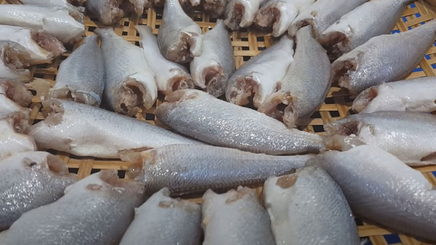 Cách làm khô cá đù thơm ngon tại nhà
