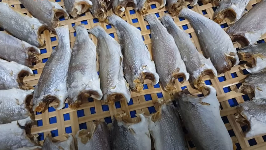 Cách làm khô cá đù thơm ngon tại nhà