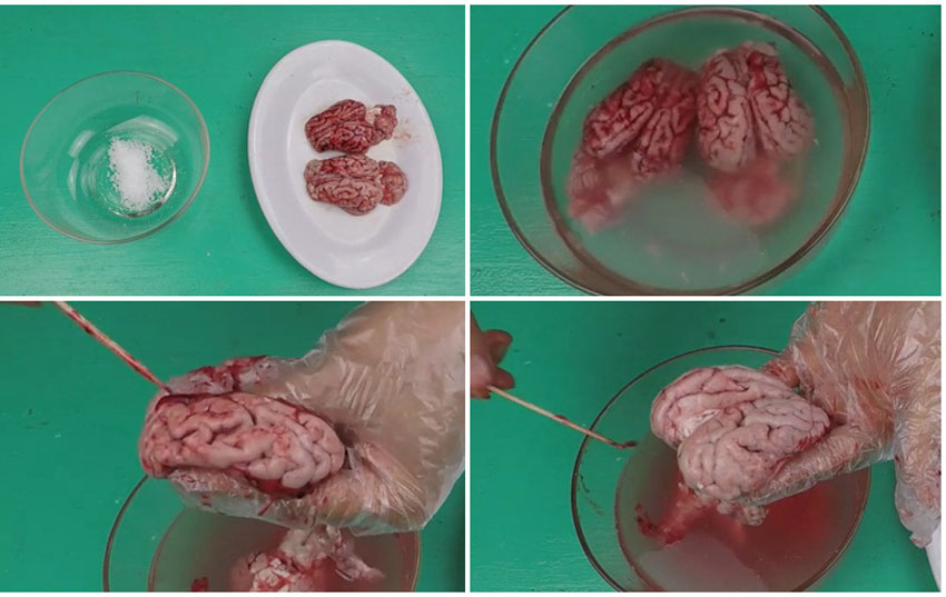 Cách nấu 6 món cháo óc heo cho bé